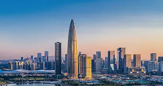 深圳瑞必达 深圳瑞必达