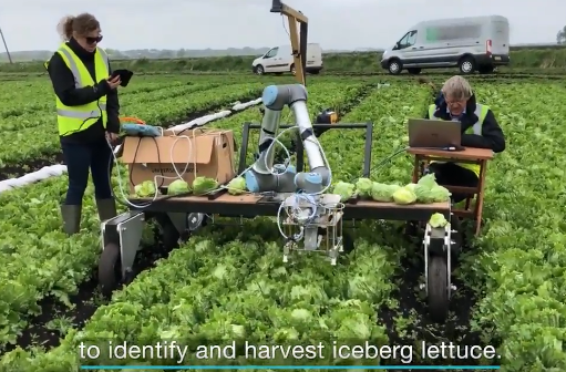 未来农业：能够拔草、除虫、摘菜的机器人来了(图2)